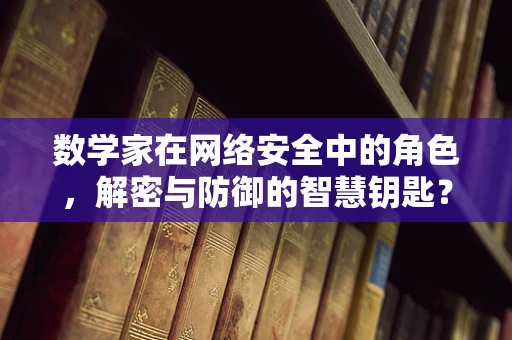 数学家在网络安全中的角色，解密与防御的智慧钥匙？