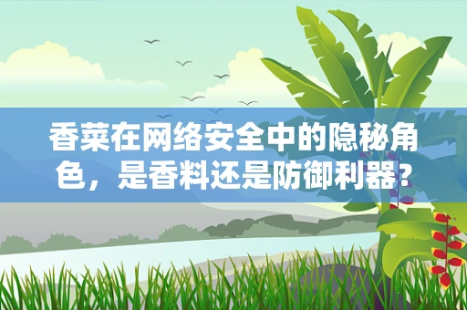 香菜在网络安全中的隐秘角色，是香料还是防御利器？