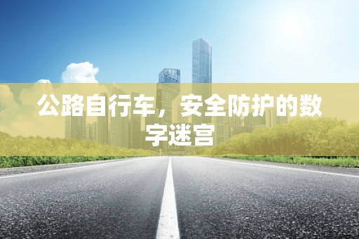 公路自行车，安全防护的数字迷宫