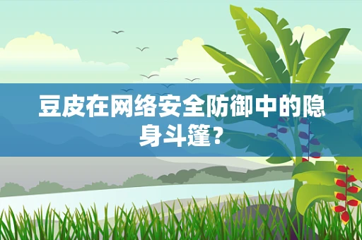 豆皮在网络安全防御中的隐身斗篷？