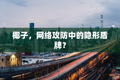 椰子，网络攻防中的隐形盾牌？