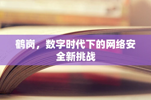 鹤岗，数字时代下的网络安全新挑战