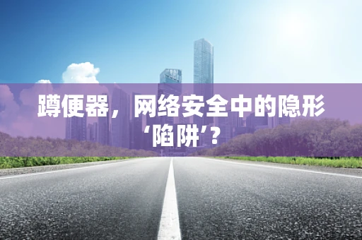 蹲便器，网络安全中的隐形‘陷阱’？