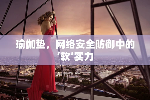 瑜伽垫，网络安全防御中的‘软’实力