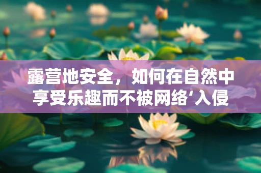 露营地安全，如何在自然中享受乐趣而不被网络‘入侵’？