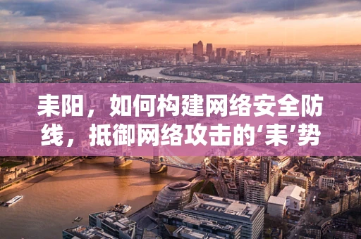 耒阳，如何构建网络安全防线，抵御网络攻击的‘耒’势？