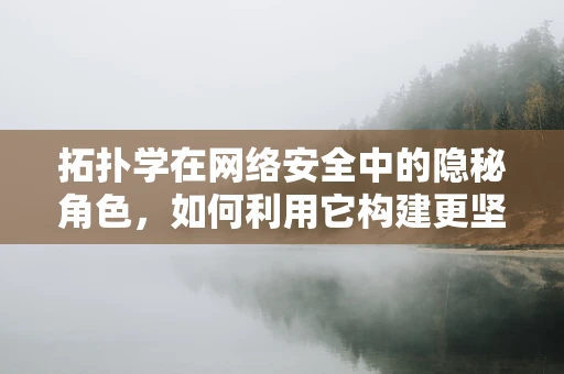 拓扑学在网络安全中的隐秘角色，如何利用它构建更坚不可摧的网络防御？