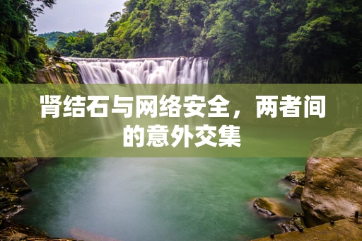 肾结石与网络安全，两者间的意外交集