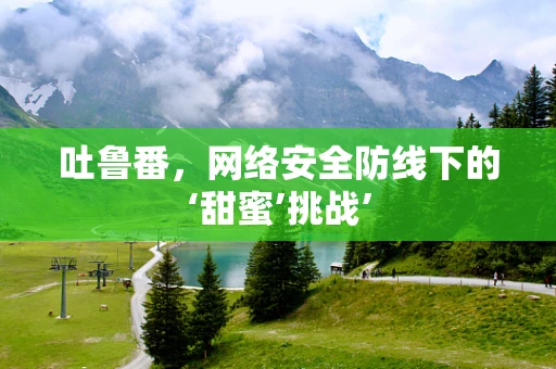吐鲁番，网络安全防线下的‘甜蜜’挑战’