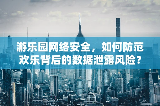 游乐园网络安全，如何防范欢乐背后的数据泄露风险？