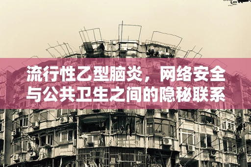 流行性乙型脑炎，网络安全与公共卫生之间的隐秘联系