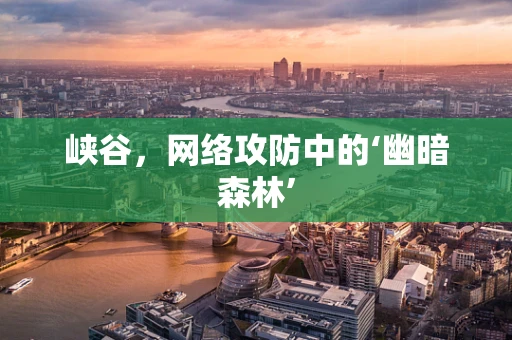 峡谷，网络攻防中的‘幽暗森林’