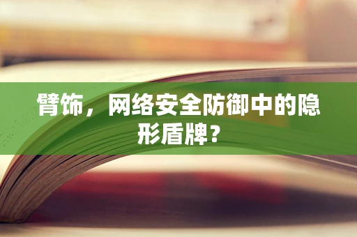 臂饰，网络安全防御中的隐形盾牌？