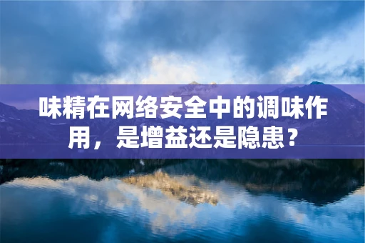 味精在网络安全中的调味作用，是增益还是隐患？