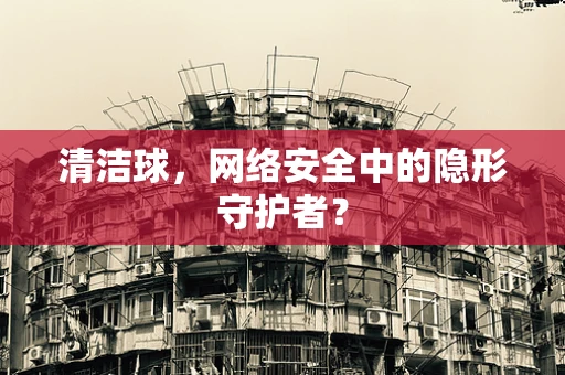 清洁球，网络安全中的隐形守护者？