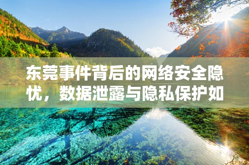 东莞事件背后的网络安全隐忧，数据泄露与隐私保护如何平衡？