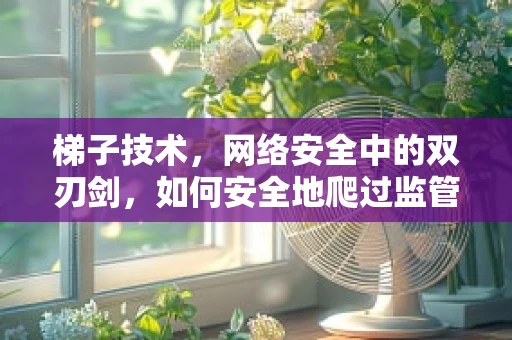 梯子技术，网络安全中的双刃剑，如何安全地爬过监管？