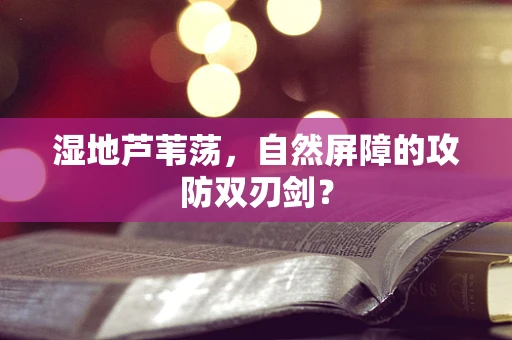 湿地芦苇荡，自然屏障的攻防双刃剑？