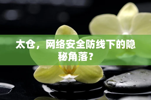 太仓，网络安全防线下的隐秘角落？