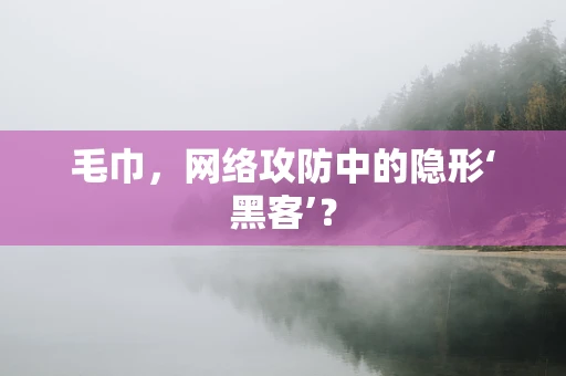 毛巾，网络攻防中的隐形‘黑客’？