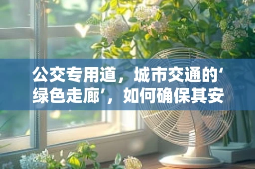 公交专用道，城市交通的‘绿色走廊’，如何确保其安全与效率？