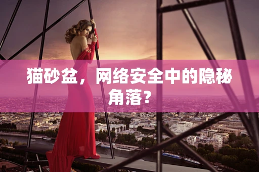 猫砂盆，网络安全中的隐秘角落？