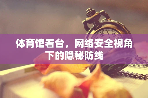 体育馆看台，网络安全视角下的隐秘防线