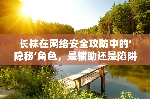 长袜在网络安全攻防中的‘隐秘’角色，是辅助还是陷阱？