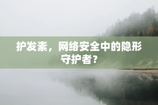 护发素，网络安全中的隐形守护者？