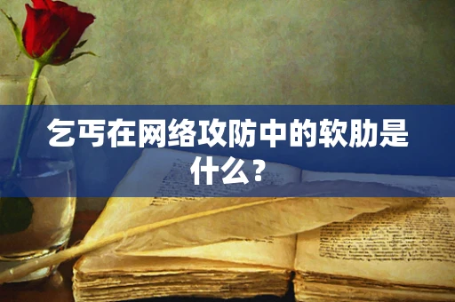 乞丐在网络攻防中的软肋是什么？