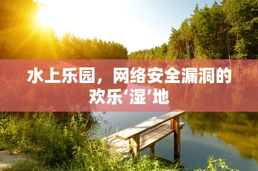 水上乐园，网络安全漏洞的欢乐‘湿’地