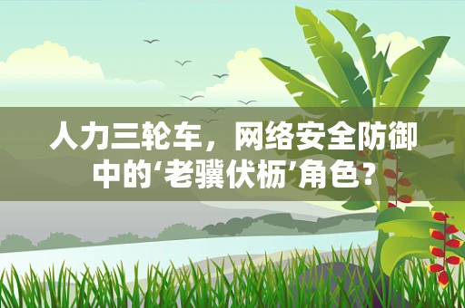 人力三轮车，网络安全防御中的‘老骥伏枥’角色？