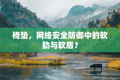 椅垫，网络安全防御中的软肋与软盾？
