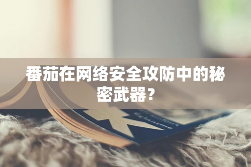 番茄在网络安全攻防中的秘密武器？