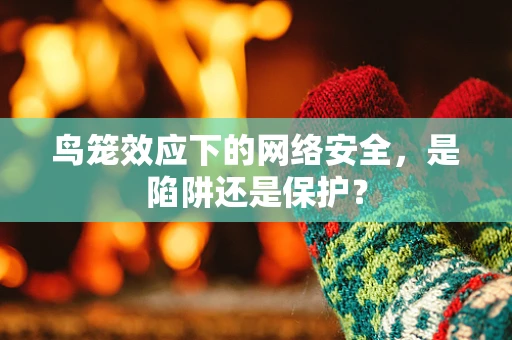 鸟笼效应下的网络安全，是陷阱还是保护？