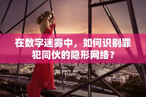 在数字迷雾中，如何识别罪犯同伙的隐形网络？