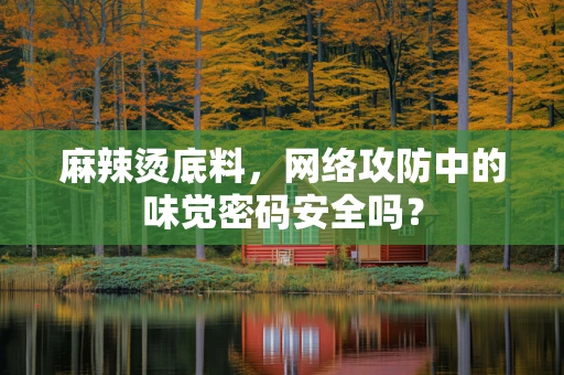 麻辣烫底料，网络攻防中的味觉密码安全吗？