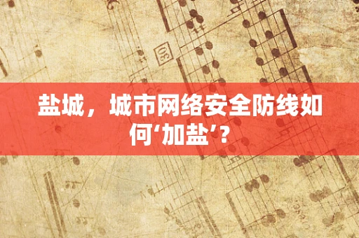 盐城，城市网络安全防线如何‘加盐’？