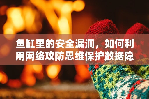 鱼缸里的安全漏洞，如何利用网络攻防思维保护数据隐私？