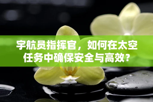 宇航员指挥官，如何在太空任务中确保安全与高效？