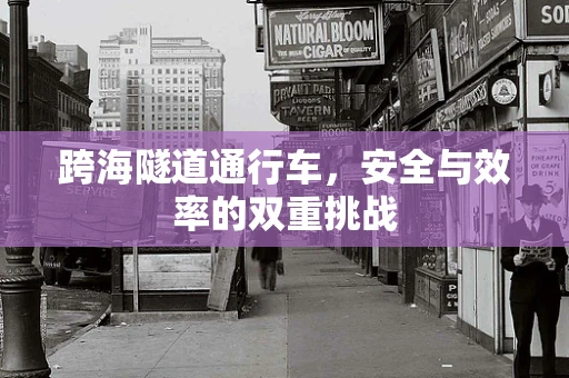 跨海隧道通行车，安全与效率的双重挑战