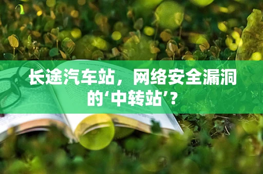 长途汽车站，网络安全漏洞的‘中转站’？