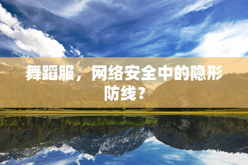 舞蹈服，网络安全中的隐形防线？