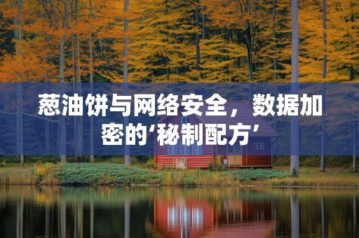葱油饼与网络安全，数据加密的‘秘制配方’