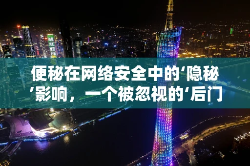 便秘在网络安全中的‘隐秘’影响，一个被忽视的‘后门’？