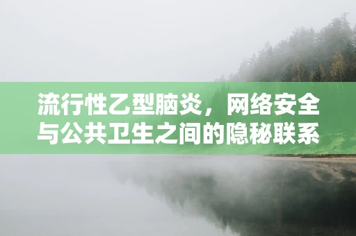 流行性乙型脑炎，网络安全与公共卫生之间的隐秘联系