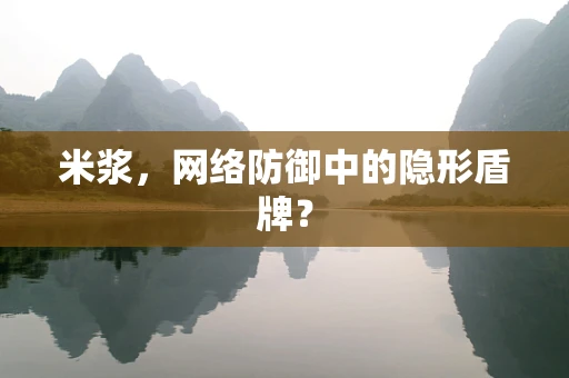 米浆，网络防御中的隐形盾牌？