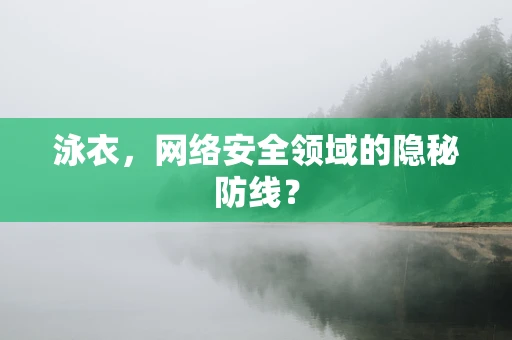泳衣，网络安全领域的隐秘防线？