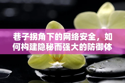 巷子拐角下的网络安全，如何构建隐秘而强大的防御体系？