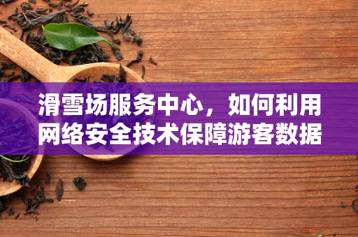 滑雪场服务中心，如何利用网络安全技术保障游客数据安全？